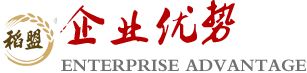 企业优势